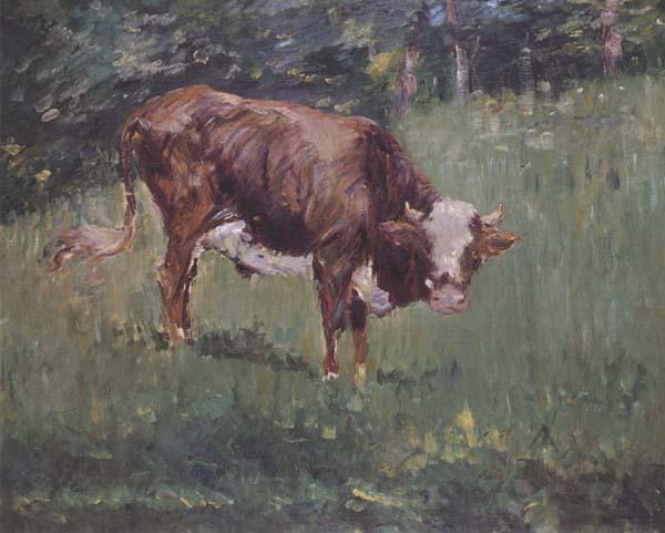 Edouard Manet Jeune taureau dans un pre (mk40) Norge oil painting art